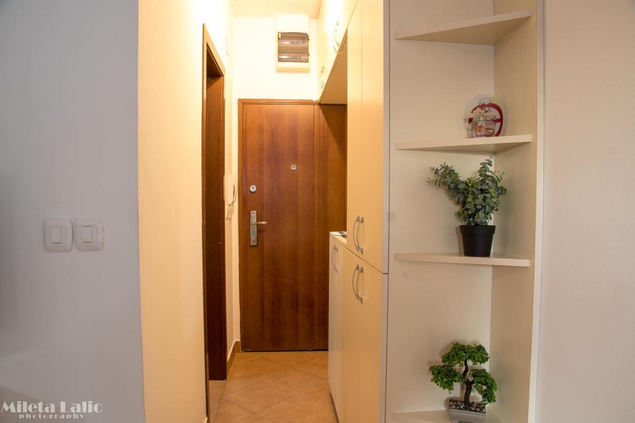 Sunny 412 Apartment Podgorica Buitenkant foto